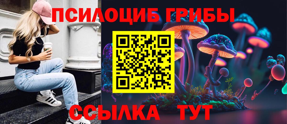 Псилоцибиновые грибы Cubensis  Псилоцибиновые грибы GOLDEN TEACHER  Удомля  где купить наркоту  Вход с VPN 