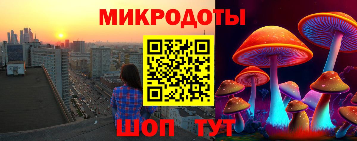 Галлюциногенные грибы Magic Shrooms Удомля